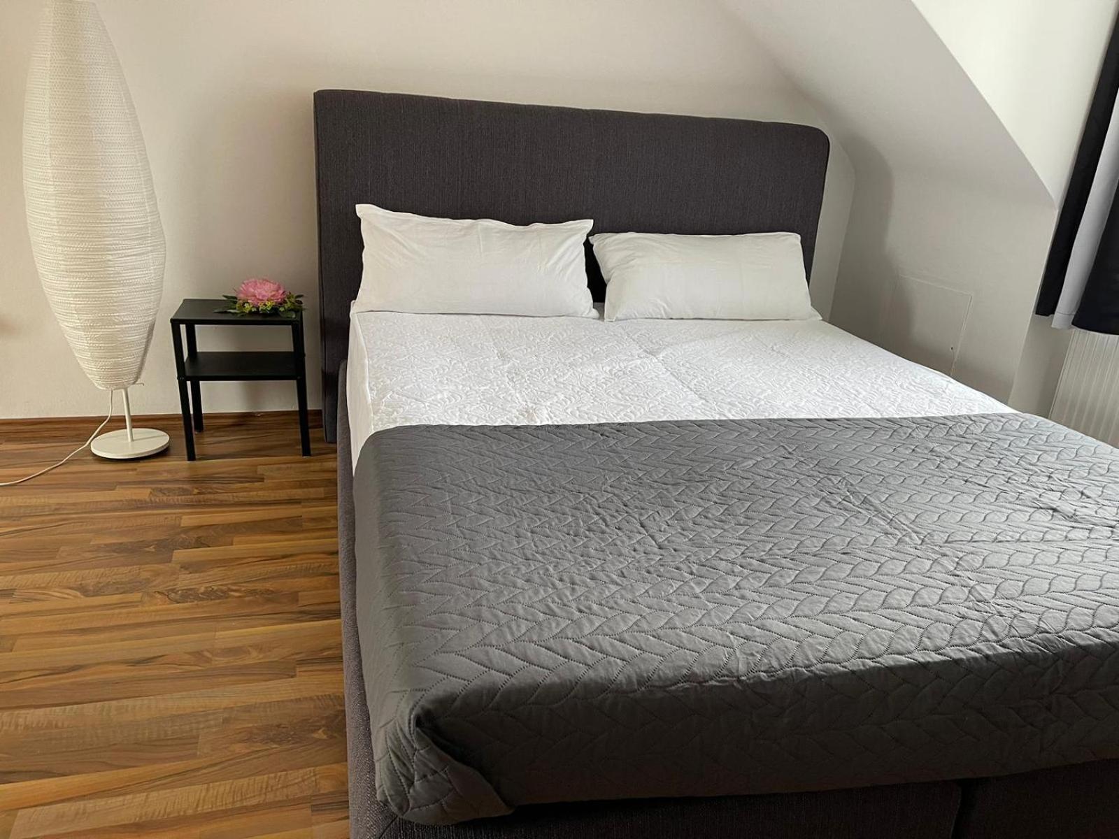 Geraeumige 3-Zimmer-Ferienwohnung Im Herzen Von 卡塞尔 外观 照片